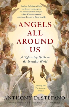 Picture of Angels All Around Us (paperback)