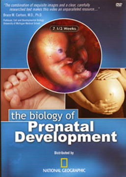 Picture of The Biology of Prenatal Development DVD