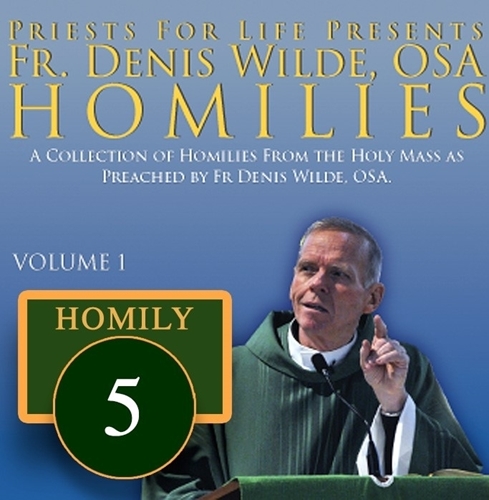 Homily by Fr. Denis Wilde, OSA - That the Course of World May be Directed by Peace of Your Rule