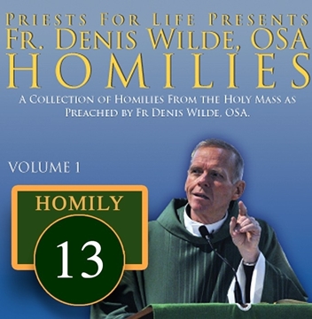 Homily by Fr. Denis Wilde, OSA -Discrimination Breeds Moral Injustice Race Religion Life
