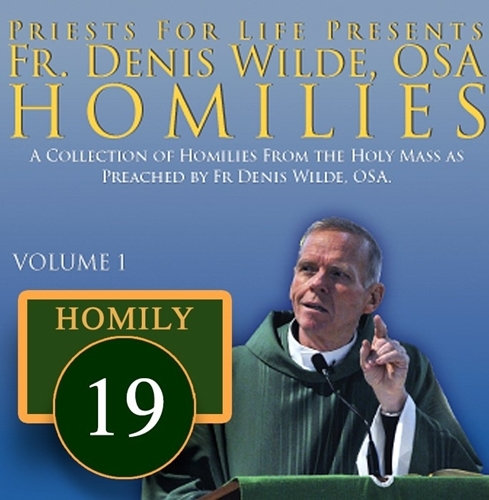 Homily by Fr. Denis Wilde, OSA  - 