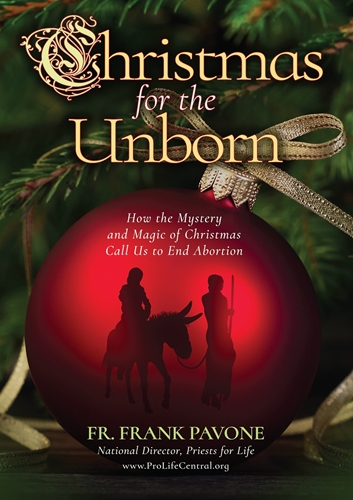 Picture of Christmas for the Unborn book