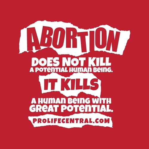 Picture of Abortion Doesn't Kill a Potential Human Being It Kills a Human Being With Great Potential (red) sticker