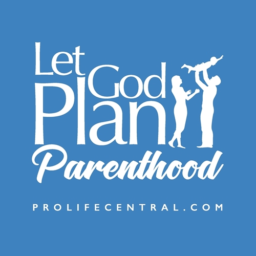 Picture of Let God Plan Parenthood (heather blue) sticker