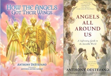 Picture of How the Angels Got Their Wings & Angels All Around Us Book Bundle