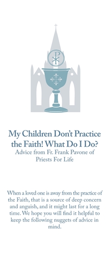 Picture of My Children Don't Practice the Faith brochure