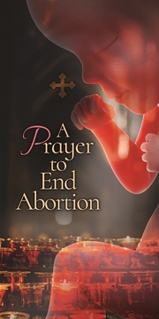 Picture of Prayer to End Abortion (pack of 100 cards)
