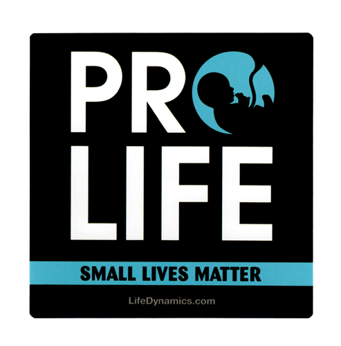 Picture of Pro-Life Small Lives Matter Sticker 2 for $1.00