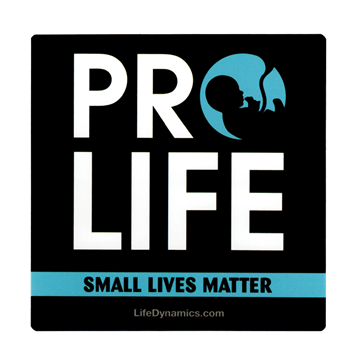 Picture of Pro-Life Small Lives Matter Sticker