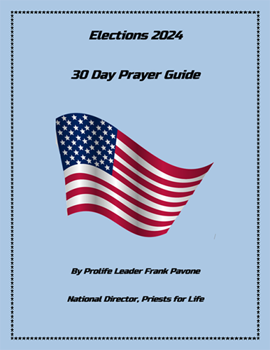 30 Day Prayer Guide to Elections 2024