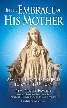 Picture of In the Embrace of His Mother prayer booklet - Digital Version