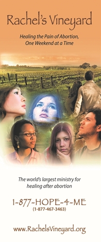 Picture of Rachel's Vineyard Brochure - Digital Version