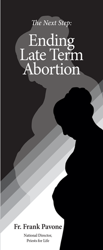 Picture of The Next Step: Ending Late Term Abortion - Digital Version