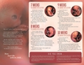 Picture of My Heart Beats Just Like Yours brochure - Digital Version
