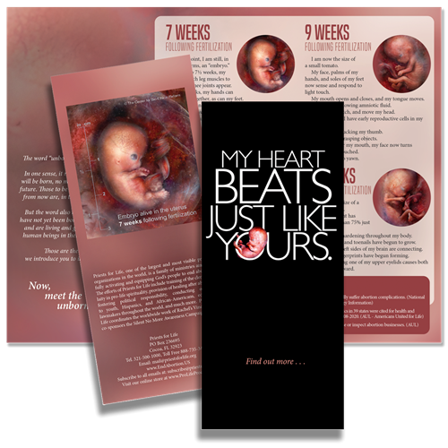 Picture of My Heart Beats Just Like Yours brochure - Digital Version
