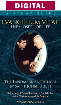 25th Anniversary Edition Study Guide of Evangelium Vitae- The Gospel of Life - Digital Version