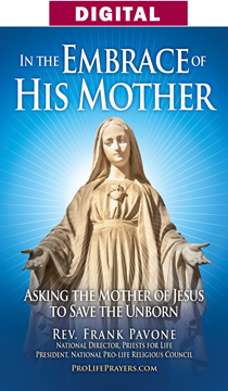 In the Embrace of His Mother Prayer Flipbook