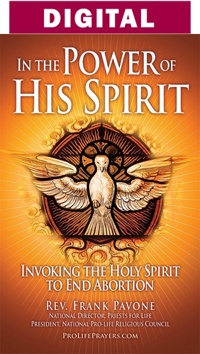 In the Power of His Spirit prayer booklet by: Fr. Frank Pavone