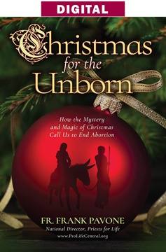 Christmas for the Unborn
