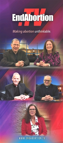 Picture of EndAbortion.TV Brochure - Digital Version