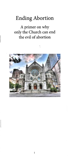 Picture of 2026 Ending Abortion Primer brochure